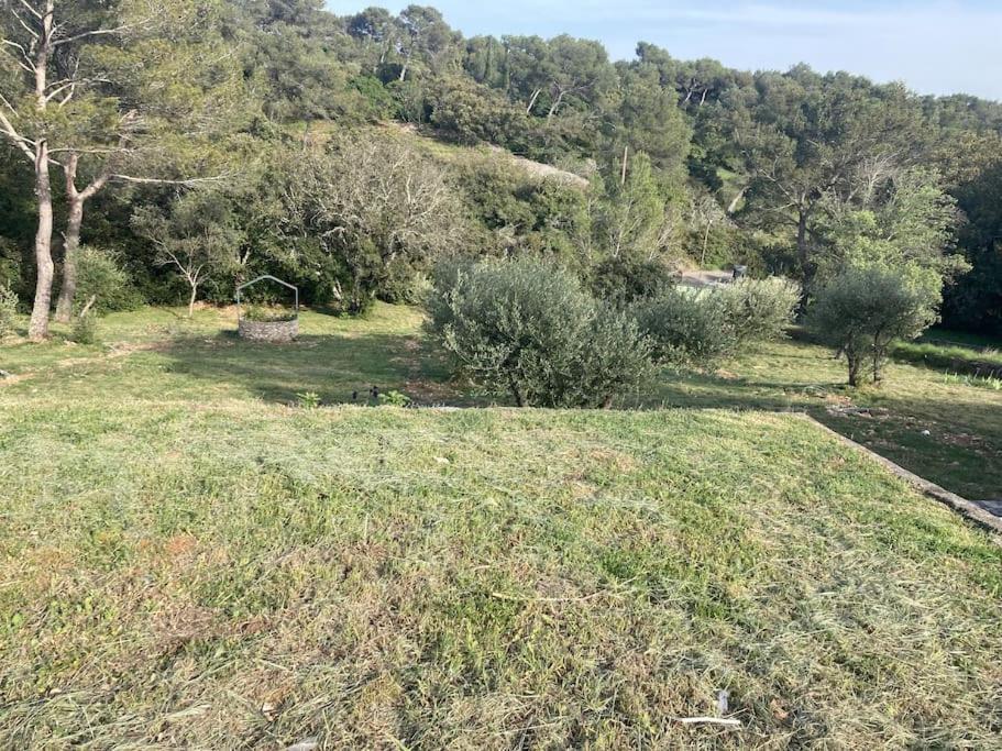 Magnifique Villa De Luxe Au Coeur De La Garrigue Nîmes Exteriör bild